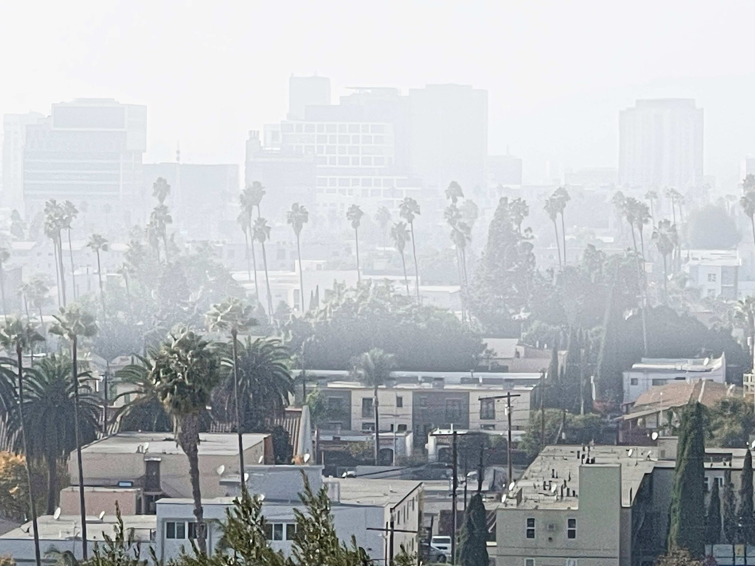 Fires Are Devastating Communities and Livelihoods Across the Region. Los Angeles Should Enact an Eviction Moratorium Now.